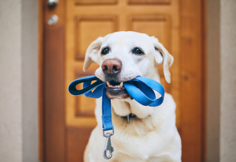 Warehouse rent fundraising